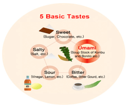 Basic-Tastes