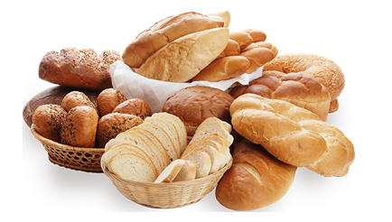 Bread-Processing-Food-Buddies