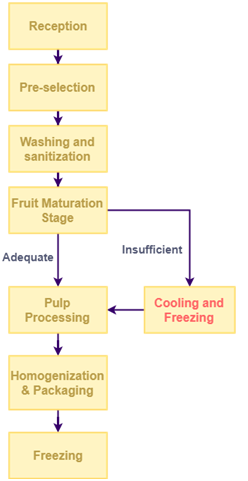 Fruit-Pulp-Production