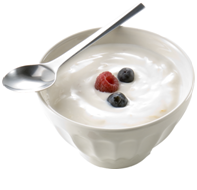 Yogurt